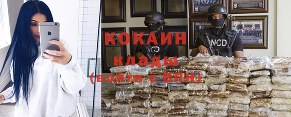 ECSTASY Алзамай